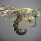 Dinagapostemon sicheli